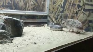 Ростовский-на-Дону зоопарк 8