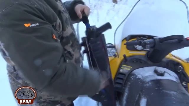 ОХОТА НА ЛОСЯ С СОБАКАМИ 2021