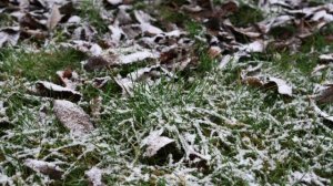 Русская народная песня - "Духовный стих"/"Уж вы, голуби". Наталья Фаустова