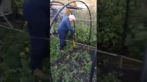 Ручной культиватор Торнадо (Торнадика)