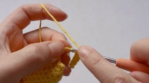 How to Crochet a Fish, Cat Toy NO STITCHING #crochetwithcotton