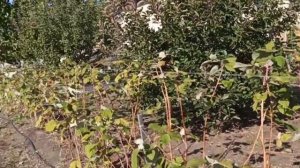 Как забетонировать столбы для забора из квадратной трубы.