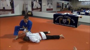 Hapkido wrist and elbow locks