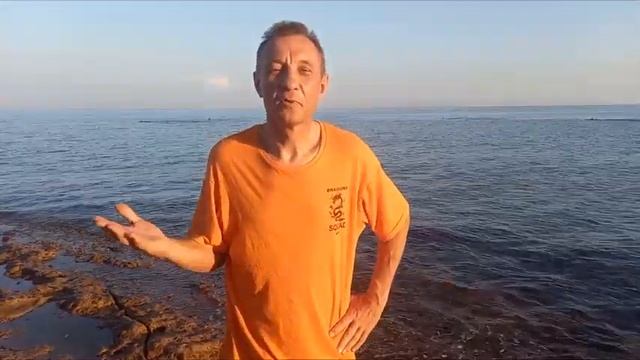 04.11.2023 Эндопротезирование ТБС. Про шов