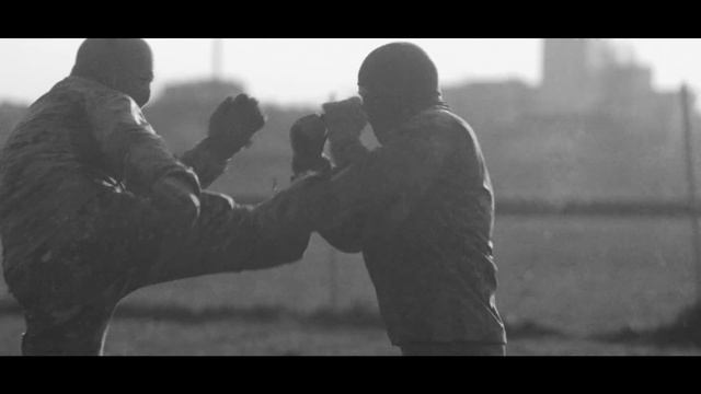 Pro's Guide To: Hand To Hand Combat