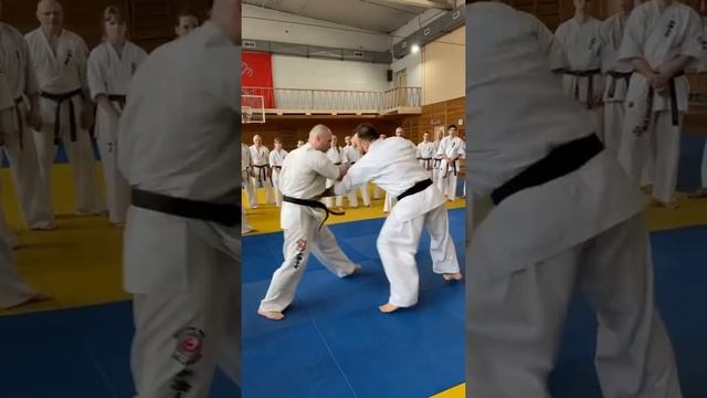 Shinkyokushinkai karate