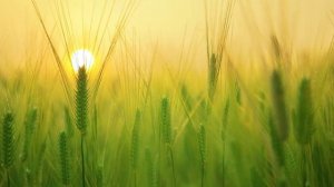 3540-из Гарыныч ВЕТЕР-Собственность Господа!-Володе.(брательнику)