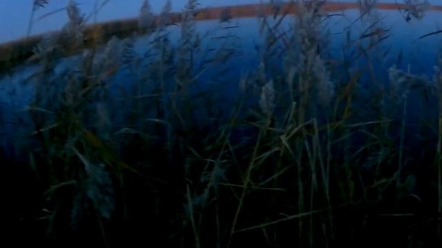 Озеро всё радует и радует! Охота на вечёрке и утрянке смотреть онлайн