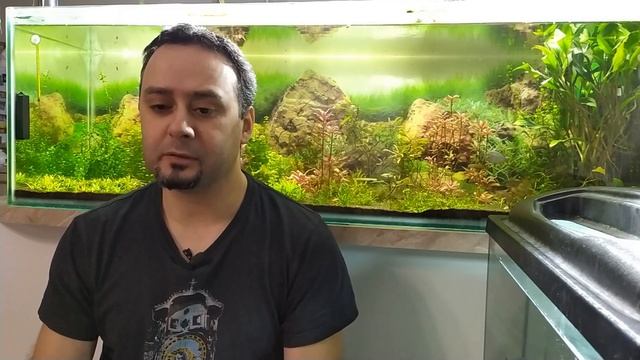 Меристемные растения и водоросли смотреть онлайн