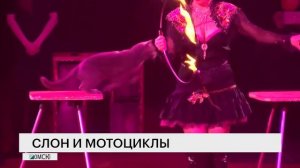 Омский Цирк сюжет