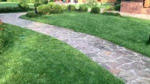 Робот газонокосилка Robomow RK 1000 X2. Робот №2, качество газонов через 14 дней.