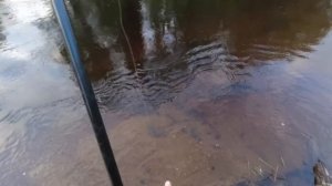 Поход в Тайгу На 4 Дня. Рыбалка на Хариуса 2023. Добрались до реки, поймали первых хариусов.