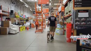 Weimaraner Puppy Training Off Leash I All-American K-9 I Phoenix Weimaraner Training Arizona