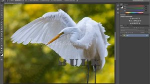 Урок 2: убираем водяные знаки.