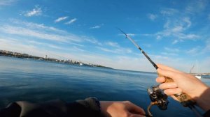 Рыбалка на чёрном море. Какие снасти взять в отпуск?