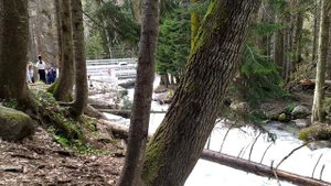 Улу Муруджу спускается с гор через залежи серебра,насыщая воду ионами серебра!