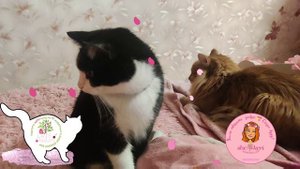 А вы вообще в курсе, что уже настал вечер добрый? ? Теддик напомнит ?