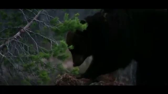 Россия родина моя..