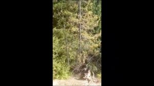 Обкатка лодочного мотора Микатсу