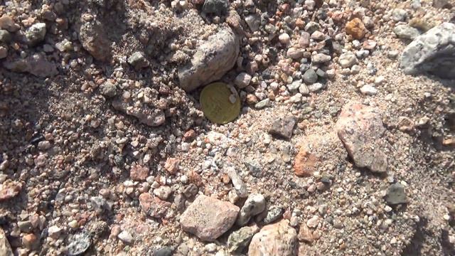 1 4 После дождя монета выглядит как новая смотреть онлайн