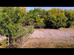 Пересохший ерик Кигач.Астраханская область