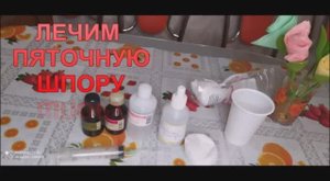 КАК БЫСТРО ИЗБАВИТЬСЯ ОТ ПЯТОЧНОЙ ШПОРЫ? ЭФФЕКТИВНОЕ СРЕДСТВО! Я ТАК ВЫЛЕЧИЛАСЬ И ЗАБЫЛА ПРО БОЛИ!