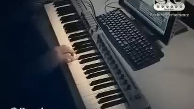 Prominy SC Electric Guitar Demo - 1981
