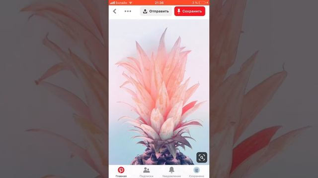 Как сохранять картинку из «Pinterest” на Apple IPhone