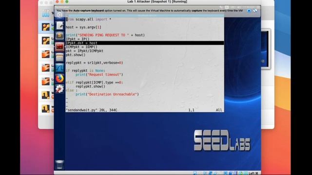 SEEDLAB Traceroute: Instructor's Solution (tutoring until one step left) смотреть онлайн