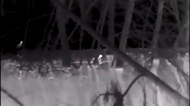 Pulsar Axion xq38 утки смотреть онлайн