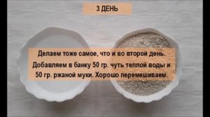 10 Как за 5 дней вырастить живую закваску-стартер для выпечки бездрожжевого хлеба.