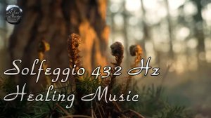 Частота счастья 432 Гц со звуками вечернего леса