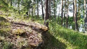 Озеро Большой Теренкуль. Релакс видео