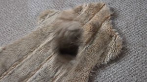 Не выкидывайте старую дубленку. Она вам ещё послужит