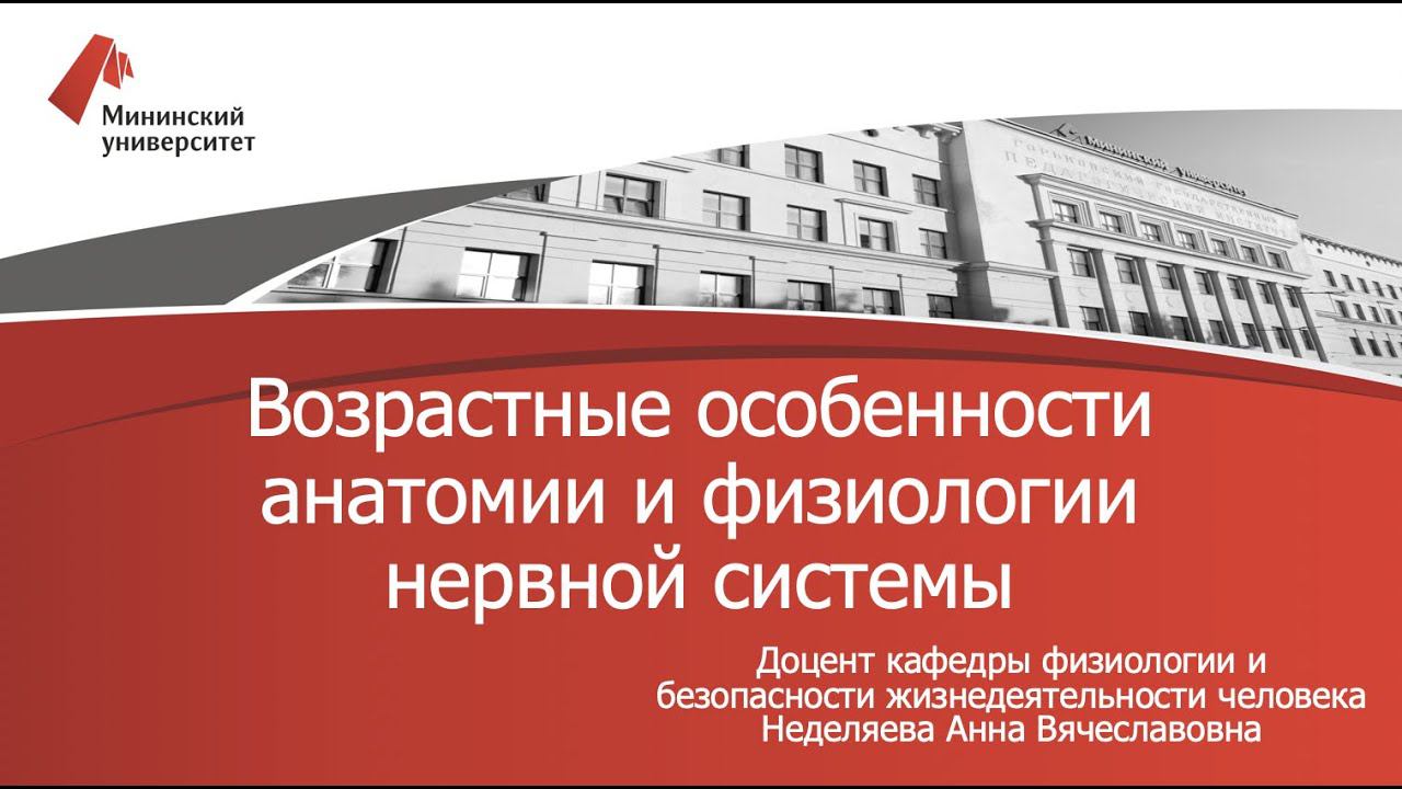Возрастные особенности анатомии и физиологии нервной системы