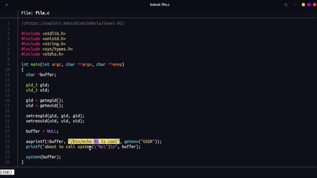 Command Injection Vulnerability | Binary Exploitation - 0x1 смотреть онлайн