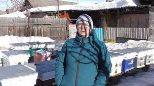 Все минусы и плюсы ранней и поздней выставки пчёл?