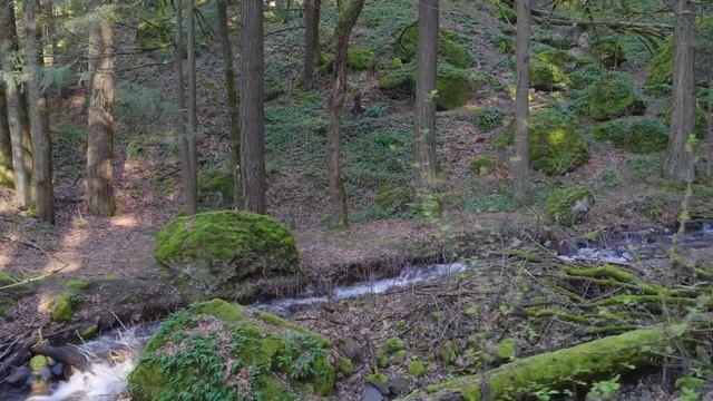 Simon Khorolskiy   Знаешь Ли Ручей смотреть онлайн