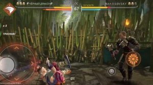 ГАЙД НА ХОНГА-ДЖУ КРАТКО | SHADOW FIGHT ARENA