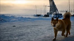 Земля франца иосифа. Арктика