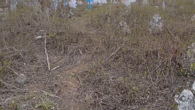 Из Истории Твардицкого Кладбища