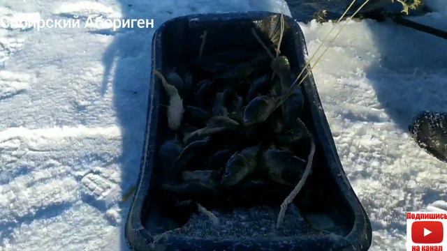 Ловля ротана/Фитилями/В ноябре/Крупный ротан/Рыбалка по черному смотреть онлайн