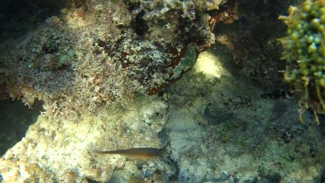 Морско дъно част 2 смотреть онлайн