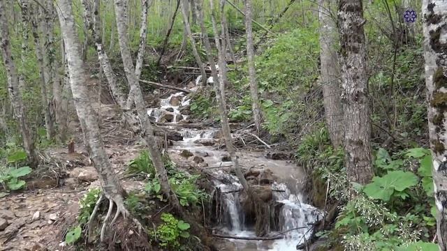 Йога-тур "Цветка Жизни" 1-3 мая 2015 (п. Мезмай, Краснодарский край) смотреть онлайн