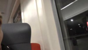 Поезд Аэроэкспресс, цена 500 руб. Шереметьево-Белорусский вокзал. сия (Russia), Moscow.