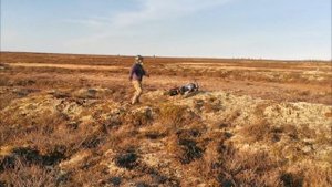 Вижас.Болотное эндуро НАО