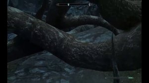 Skyrim - Gameplay - Harvest Elder Green Sap - January 4, 2014 - Part 2