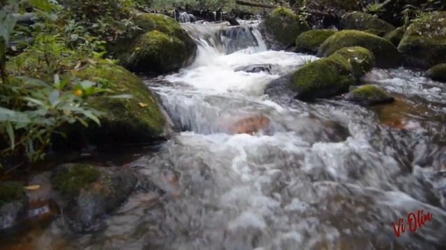 Cry me a river over you ( Diana Krall). Best songs covers by Vi Olin ´ смотреть онлайн