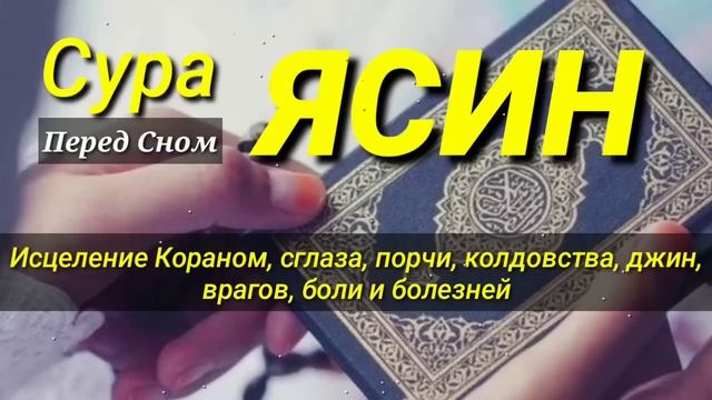 Сура Ясин, Вечером~Утром, Лечение сердца и всего тела, от болезней... смотреть онлайн