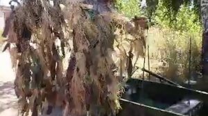 Скрадок на лодке без затрат